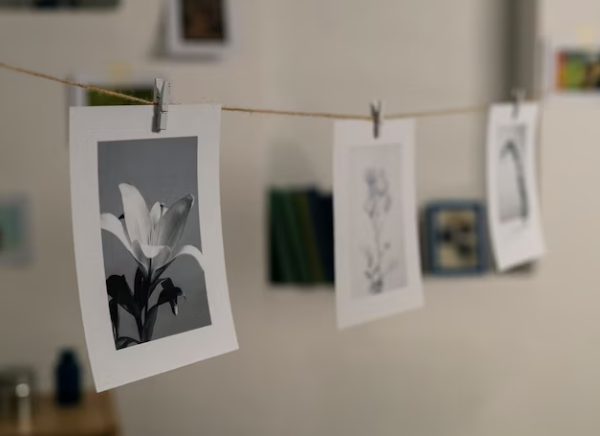 As vantagens de usar papel fotográfico A3