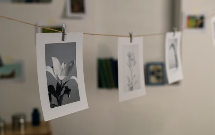 As vantagens de usar papel fotográfico A3